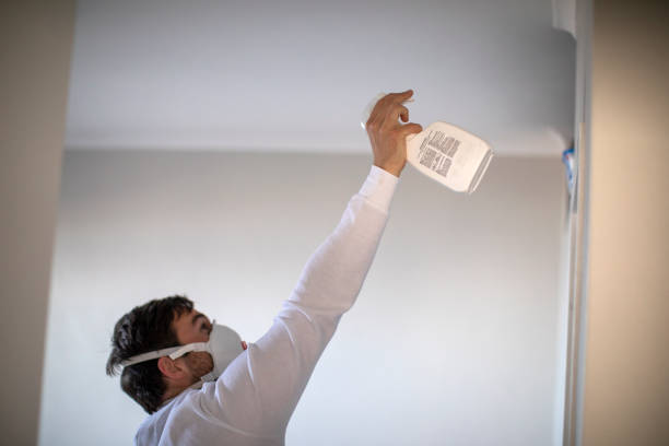 Best Certified Mold Removal  in Wind Gap, PA
