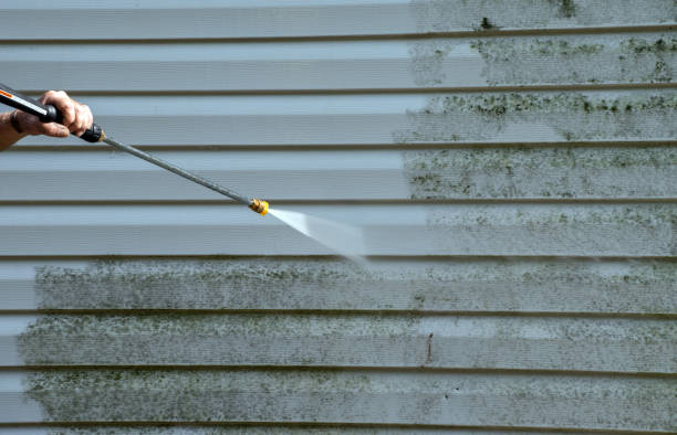 Mold Removal and Inspection in Wind Gap, PA